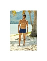 Мужские шорты Henderson цена и информация | Плавки, плавательные шорты | kaup24.ee
