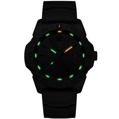 Мужские часы Luminox XS.3121.BO цена и информация | Мужские часы | kaup24.ee