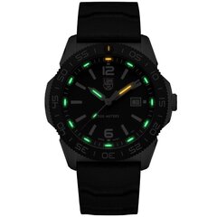 Meeste käekell Luminox Pacific XS.3121 hind ja info | Meeste käekellad | kaup24.ee