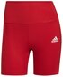 Adidas Lühikesed Püksid W Fb Sh Tig Red HE9265 HE9265/XL hind ja info | Naiste lühikesed püksid | kaup24.ee