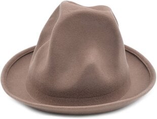 Классическая мягкая шляпа цена и информация | Мужские шарфы, шапки, перчатки | kaup24.ee