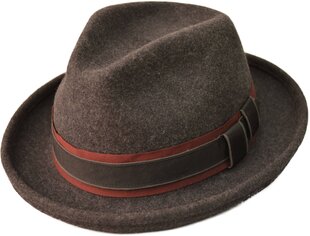 Классическая шляпа цена и информация | Мужские шарфы, шапки, перчатки | kaup24.ee