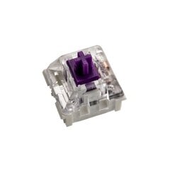 Glorious PC Gaming Race Kailh Pro Purple 120 vnt hind ja info | Klaviatuurid | kaup24.ee