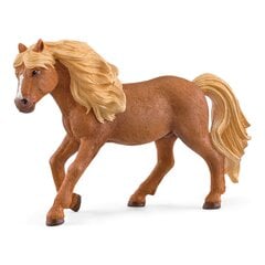 SCHLEICH HORSE CLUB Islandi poni täkk цена и информация | Игрушки для девочек | kaup24.ee