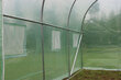 Kaarjas kasvuhoone Saska Garden, 300 x 200 x 200 cm, roheline цена и информация | Kasvuhooned | kaup24.ee