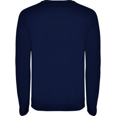 Свитер с длинными рукавами цена и информация | Мужские свитера | kaup24.ee