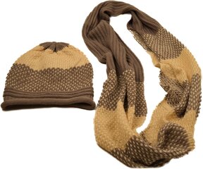 Beanie & rõngassall-Hall цена и информация | Мужские шарфы, шапки, перчатки | kaup24.ee