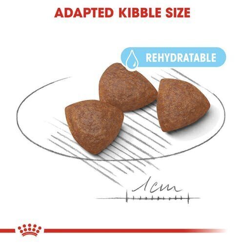 ROYAL CANIN emased ja nende kutsikad Medium starter, 4 kg hind ja info | Kuivtoit koertele | kaup24.ee