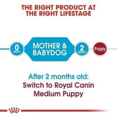 ROYAL CANIN Medium starter,  сухой корм для собак 4кг цена и информация | Сухой корм для собак | kaup24.ee