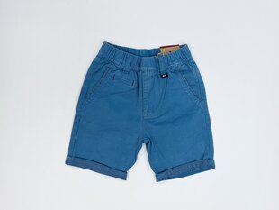 Lühikesed püksid poistele hind ja info | Poiste lühikesed püksid | kaup24.ee