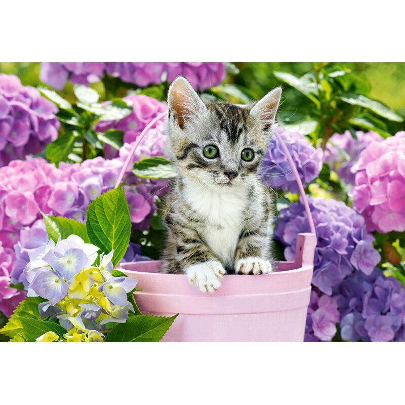 Puzzle 1500 elements Kitten in Basket hind ja info | Pusled | kaup24.ee