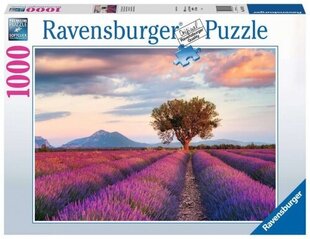 Ravensburger - Puzzle 1000 Lavender Field In The Golden Hour hind ja info | Pusled | kaup24.ee