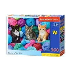 Puzzle 300 pieces Kittens in Yarn hind ja info | Pusled | kaup24.ee