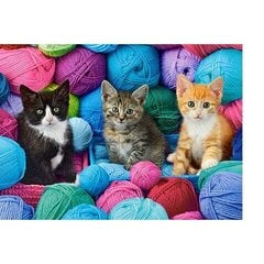Puzzle 300 pieces Kittens in Yarn hind ja info | Pusled | kaup24.ee