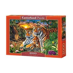 Puzzle 2000 pieces Family of tigers hind ja info | Pusled | kaup24.ee