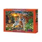 Puzzle 2000 pieces Family of tigers hind ja info | Pusled | kaup24.ee