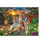 Puzzle 2000 pieces Family of tigers hind ja info | Pusled | kaup24.ee