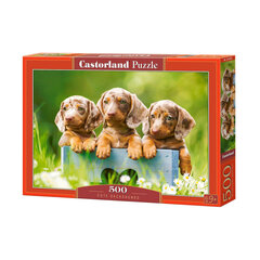 Puzzle 500 pieces Puppies adorable dachshunds hind ja info | Pusled | kaup24.ee