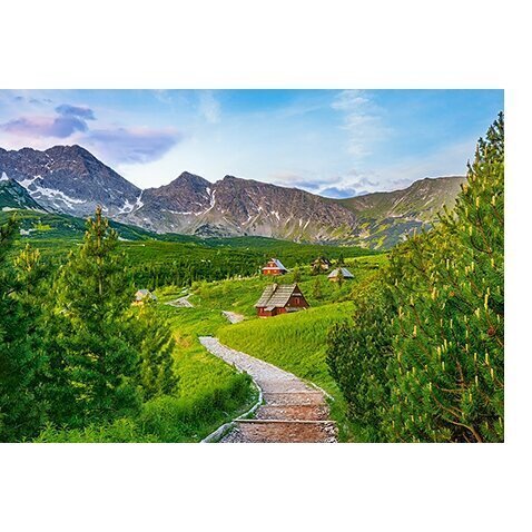 Puzzle 500 TRAIL IN TATRAS, POLAND 53582 hind ja info | Pusled | kaup24.ee