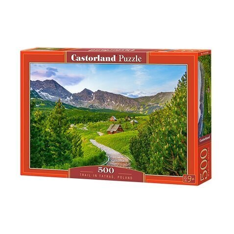 Puzzle 500 TRAIL IN TATRAS, POLAND 53582 цена и информация | Pusled | kaup24.ee