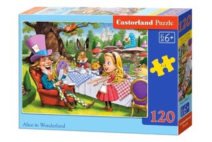 Puzzle 120 Alice in Wonderland 13456 hind ja info | Pusled | kaup24.ee