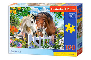 Puzzle 100 BEST FRIENDS 111121 hind ja info | Pusled | kaup24.ee