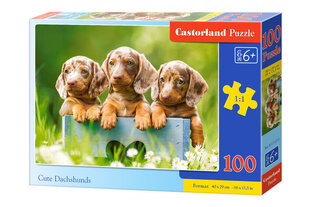 Puzzle 100 CUTE DACHSHUNDS 111213 hind ja info | Pusled | kaup24.ee