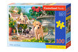 Puzzle 100 HIDE AND SEEK 111220 hind ja info | Pusled | kaup24.ee