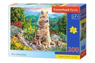 Puzzle 200 New Generation 222087 hind ja info | Pusled | kaup24.ee
