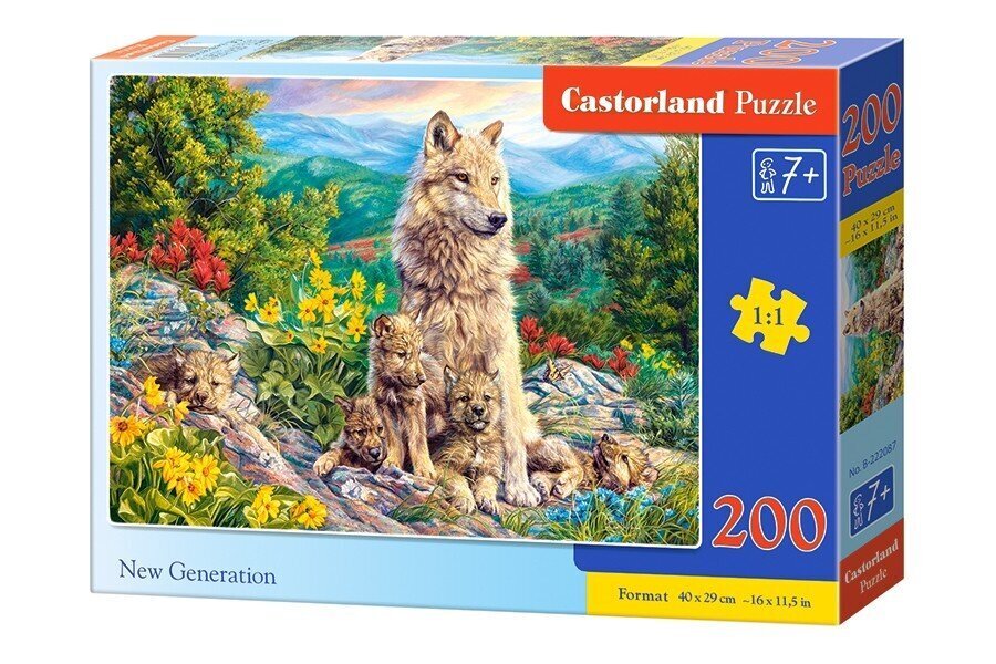 Puzzle 200 New Generation 222087 цена и информация | Pusled | kaup24.ee