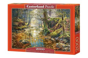 Puzzle 2000 Reminiscence of the Autumn Forest 200757 цена и информация | Пазлы | kaup24.ee