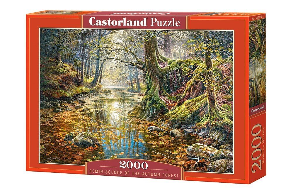 Puzzle 2000 Reminiscence of the Autumn Forest 200757 hind ja info | Pusled | kaup24.ee