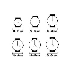 Часы XTRESS XAA1032-23 цена и информация | Мужские часы | kaup24.ee