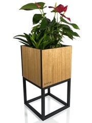 Вазон для растений - Loft Fiorino дубовый 22x22x40 см цена и информация | Подставки для цветов, держатели для вазонов | kaup24.ee
