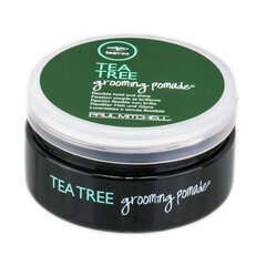 Juuste modelleerimise pomada Paul Mitchell Tea Tree 85 g hind ja info | Viimistlusvahendid juustele | kaup24.ee