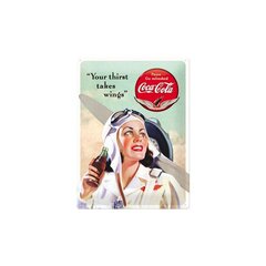 Metallplaat 30x40cm / Coca-Cola "Your Thirst Takes Wings" hind ja info | Sisustuselemendid | kaup24.ee