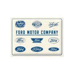 Металлическая пластина 30x40 см / Ford - Логотип Evolution цена и информация | Детали интерьера | kaup24.ee