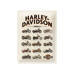 Metallplaat 30x40cm / Harley Davidson Models цена и информация | Детали интерьера | kaup24.ee