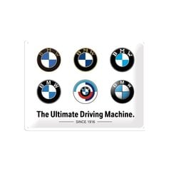 Металлическая пластина 30x40 см / BMW - логотип Evolution цена и информация | Детали интерьера | kaup24.ee