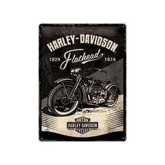 Металлическая пластина 30x40 см / Harley-Davidson - Flathead цена и информация | Детали интерьера | kaup24.ee