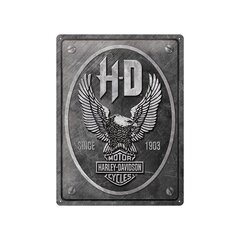 Metallplaat 30x40cm / Harley-Davidson - Metal Eagle hind ja info | Sisustuselemendid | kaup24.ee