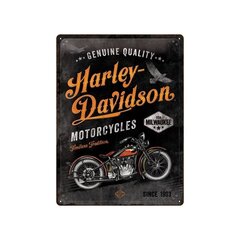 Металлическая пластина 30x40 см / Harley-Davidson - Timeless Tradition цена и информация | Детали интерьера | kaup24.ee