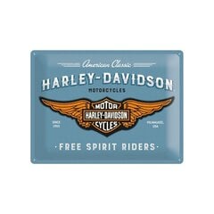 Металлическая пластина 30x40 см / логотип Harley-Davidson, синий цена и информация | Детали интерьера | kaup24.ee