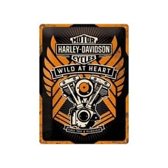 Металлическая пластина 30x40 см / Harley-Davidson Wild at Heart цена и информация | Детали интерьера | kaup24.ee