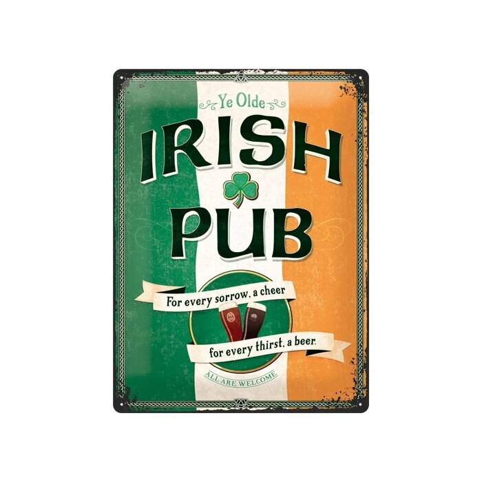 Metallplaat 30x40cm / Irish Pub hind ja info | Sisustuselemendid | kaup24.ee