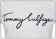 Naiste T-särk Tommy Hilfiger T-SHIRT HERITAGE CREW NECK GRAPHIC TEE WHITE WW0WW24967 100 26486 hind ja info | Naiste T-särgid | kaup24.ee