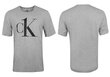 Meeste T-särk Calvin Klein S/S CREW NECK, hall, 000NM1903E YG4 28208 hind ja info | Meeste T-särgid | kaup24.ee