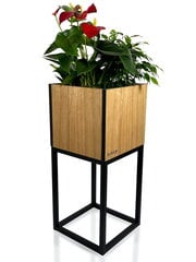 Lillepott - Loft Fiorino tamm 22x22x50cm hind ja info | Vaasid, alused, redelid lilledele | kaup24.ee