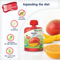 "Mango" orgaaniline püree FLEUR ALPINE, alates 6 elukuust, 90 g x 6 цена и информация | Püreed | kaup24.ee