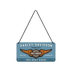 Металлическая пластина 10x20 см / логотип Harley-Davidson цена и информация | Детали интерьера | kaup24.ee